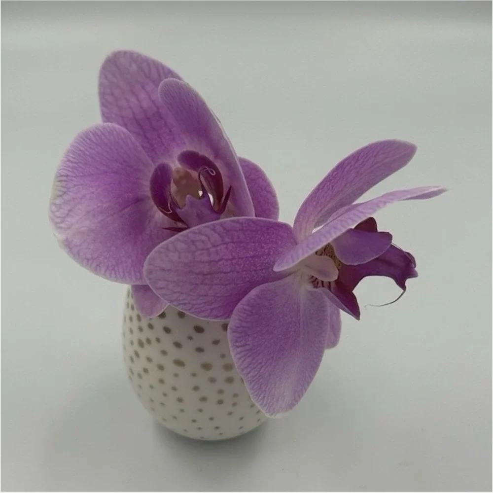 Ceramic Polka Dot Egg-Shaped Bud Vase, White/Beige, Glossy Finish, 3 in